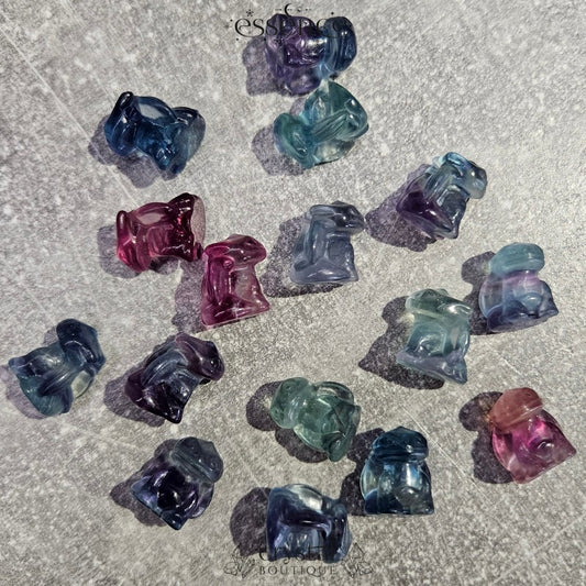 Mini Fluorite Toothless