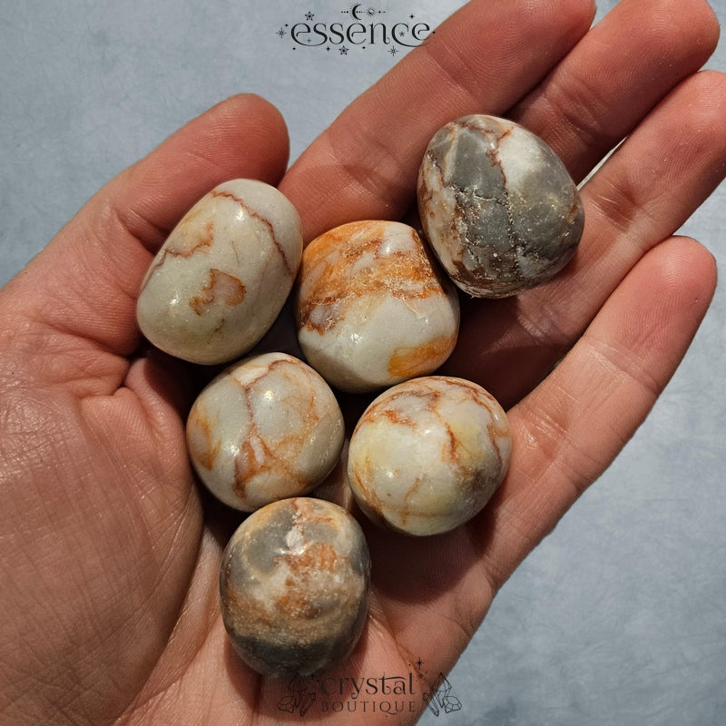 Red Vein Jasper Tumbled Stone