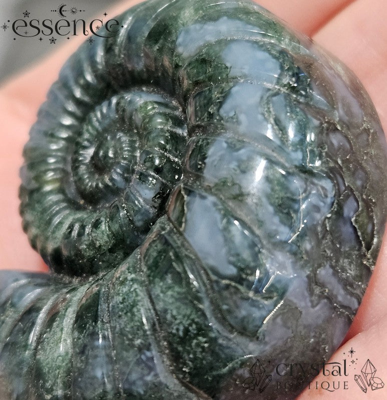 Moss Agate Ammonite Carving – 52g - Stone of Abundance