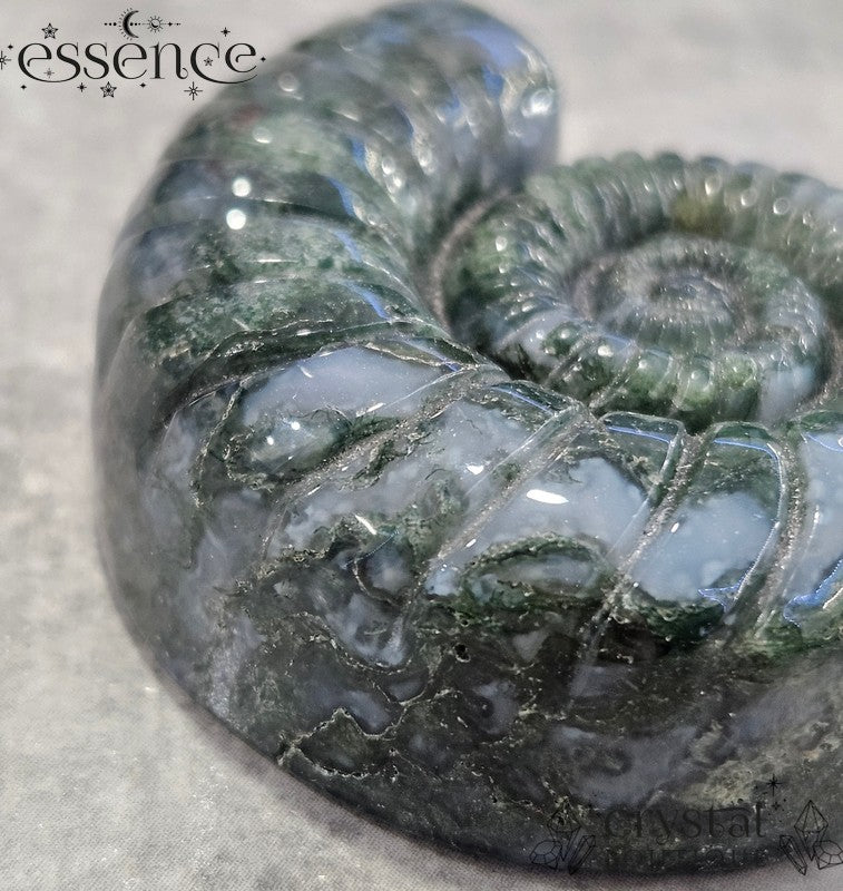 Moss Agate Ammonite Carving – 52g - Stone of Abundance