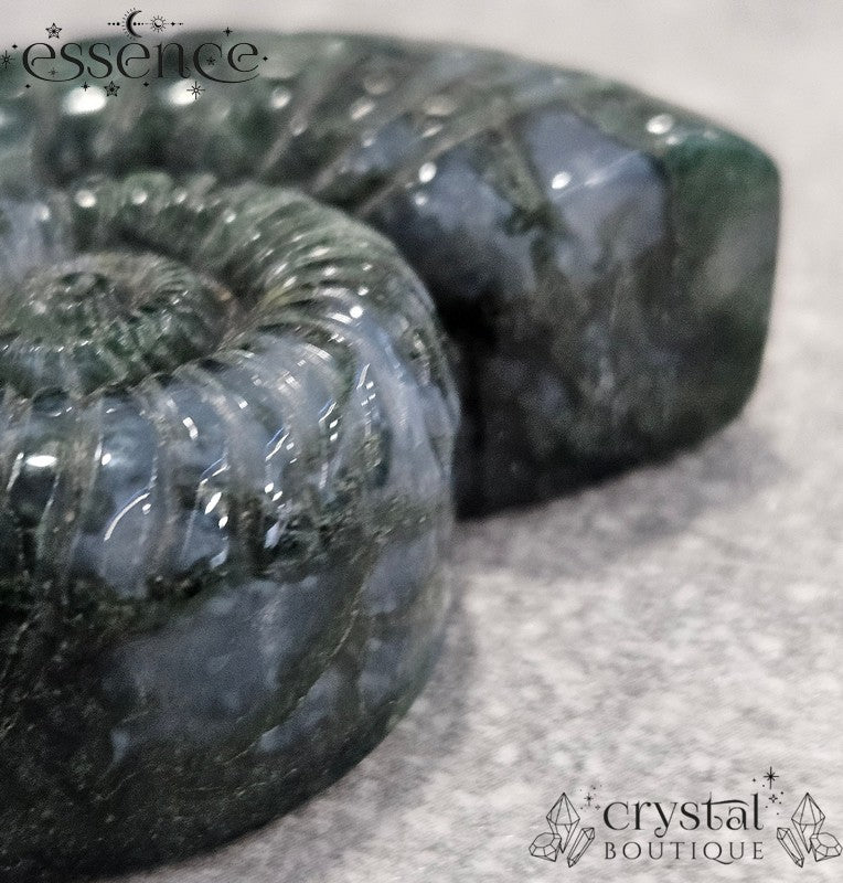 Moss Agate Ammonite Carving – 52g - Stone of Abundance