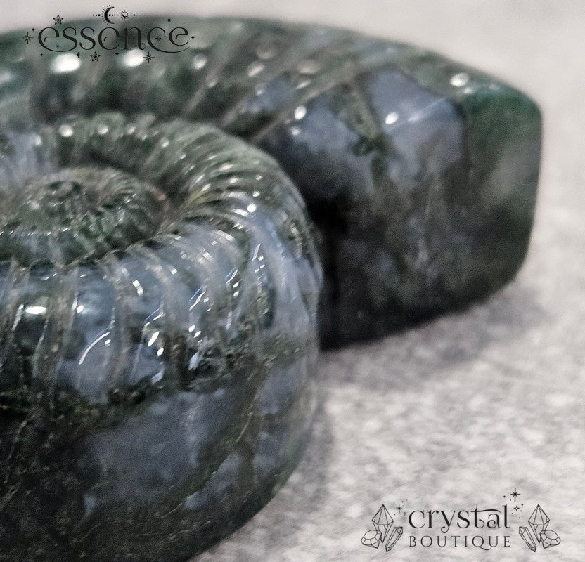 Moss Agate Ammonite Carving – 52g - Stone of Abundance