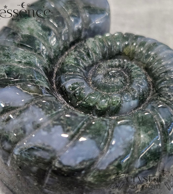 Moss Agate Ammonite Carving – 52g - Stone of Abundance