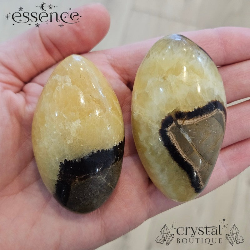 Septarian Palm Stones