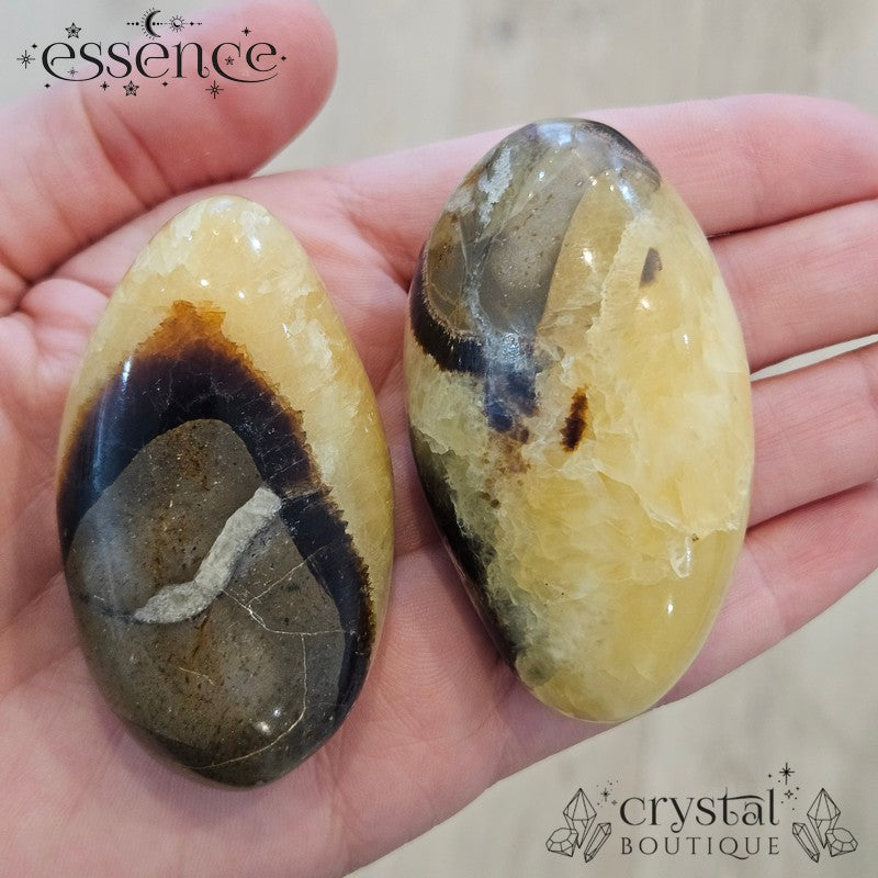 Septarian Palm Stones
